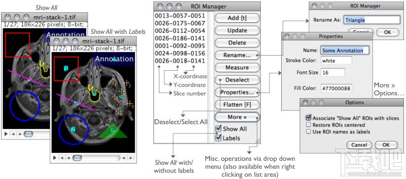 ImageJ For Mac,ImageJ下载,ImageJ免费版,免费开源